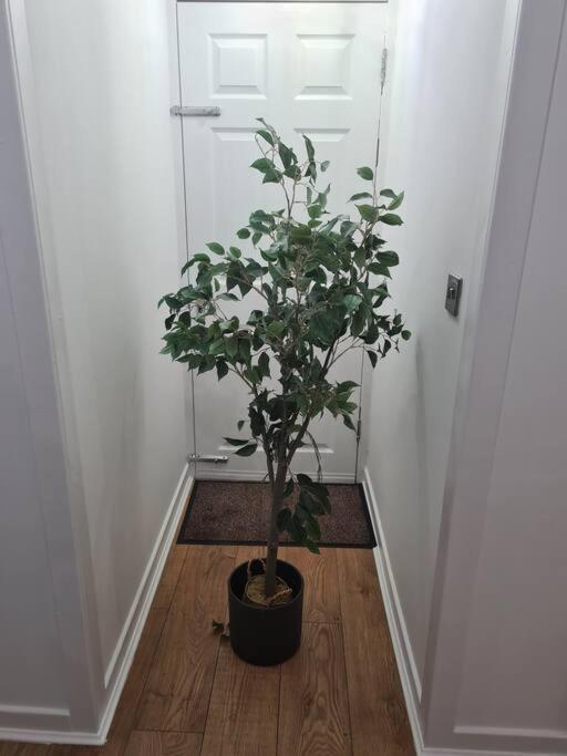 Lovely 2 Bedroom Garden Flat In Trendy West End Glasgow Luaran gambar